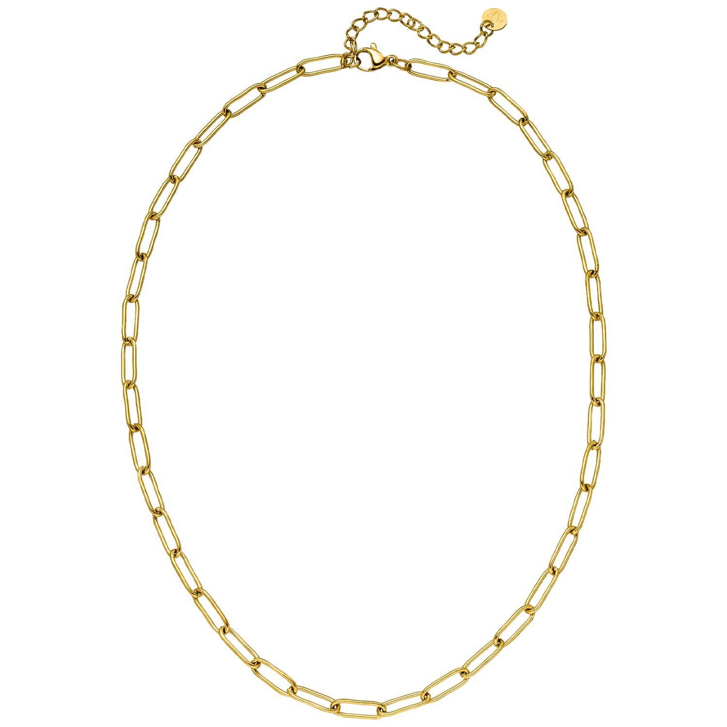 Gold paperclip chain necklace by an unknown vendor, featuring a lobster clasp and extender chain.