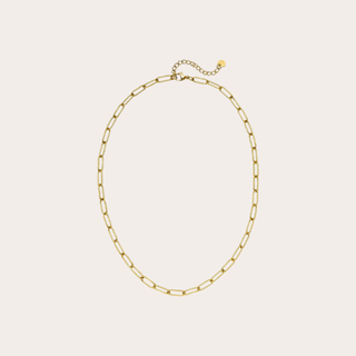 Paperclip Necklace
