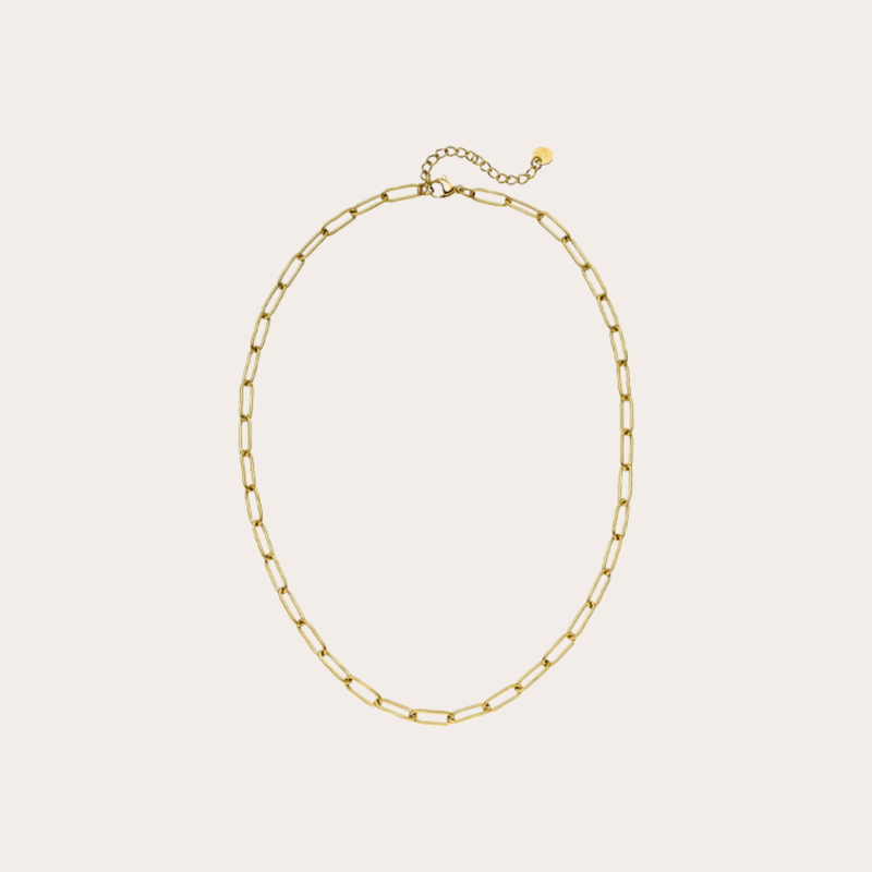Paperclip Necklace