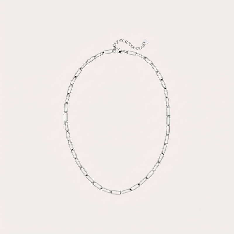 Paperclip Necklace